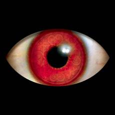 Farzad Golpayegani : Three